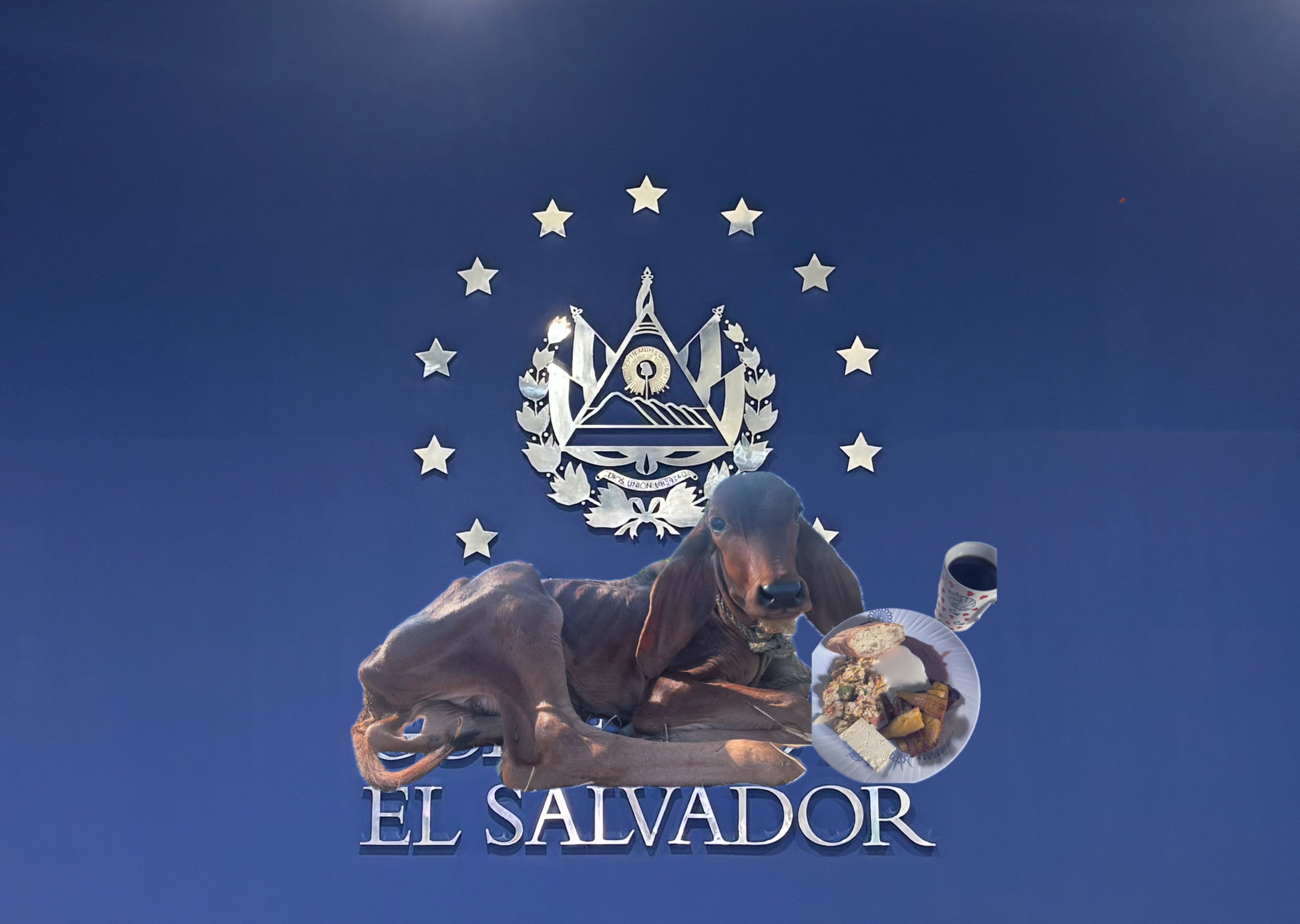 litoralelsalvador.com